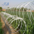 El mejor precio Flat Concertina Razor Barbe Wire Mesh Fence